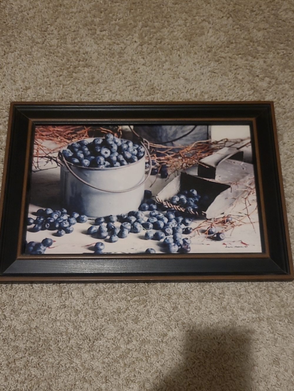 Framed Blueberry Still Life Wall Art Irvin Hoover Primitive Artist